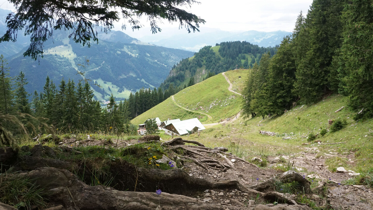 der Weg oberhalb der Hirschalpe der Weg über der Hirschalpe