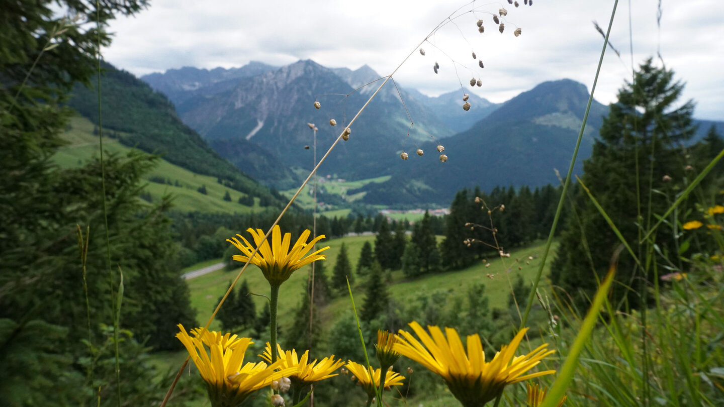 Bergpanorama bei Oberjoch im Allgäu Bergpanorama bei Oberjoch