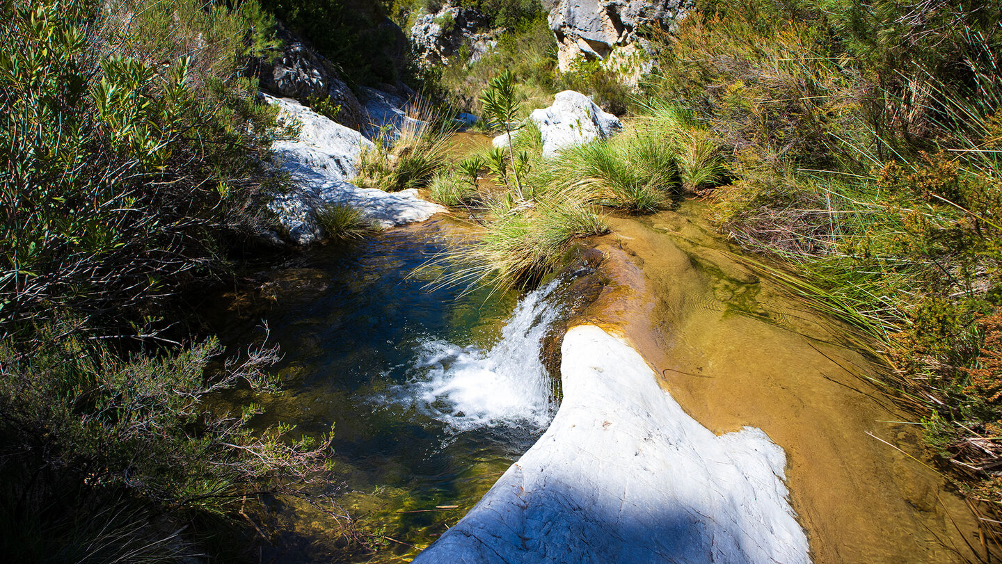 Bachlauf Barranco del Pito in der Sierra Almijara Bachlauf Barranco del Pito in der Sierra Almijara
