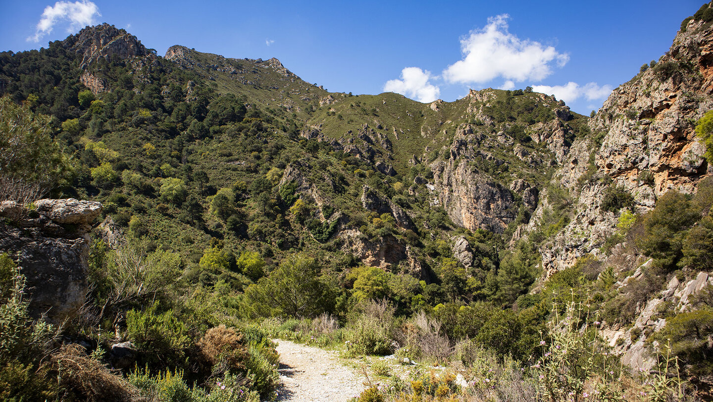 Bergpanaroma im Barranco del Pito Bergpanaroma im Barranco del Pito