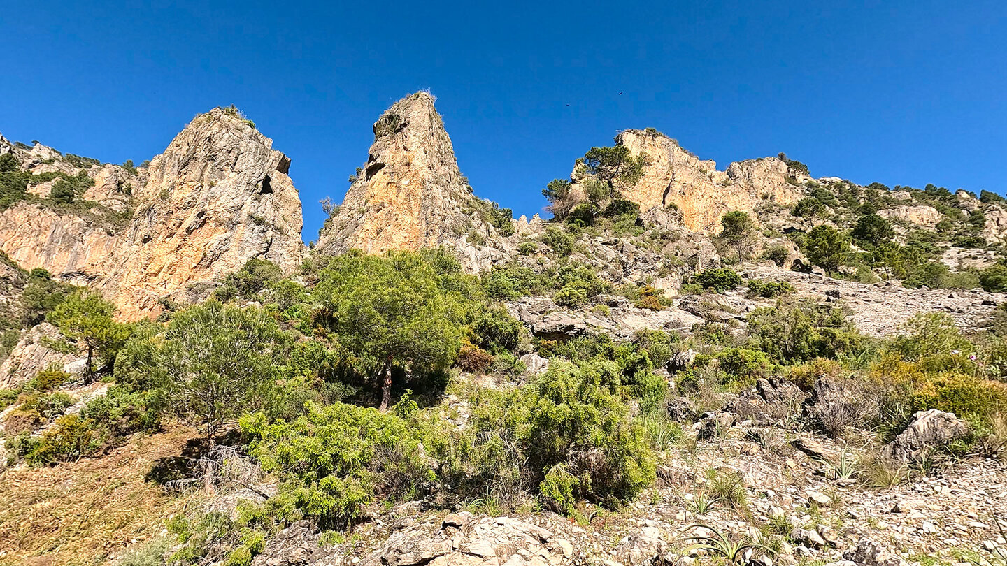 Felsspitzen im Barranco del Pito im Naturpark Sierras de Tejeda, Almijara y Alhama Felsspitzen im Barranco del Pito im Naturpark Sierra Almijara
