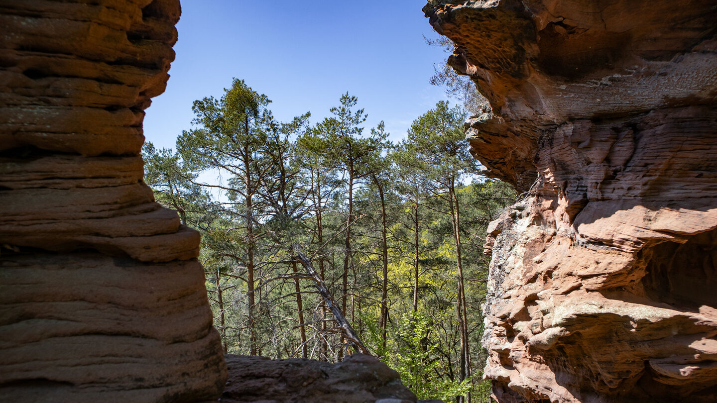 Blick durch die Felssäulen am Sattelfelsen