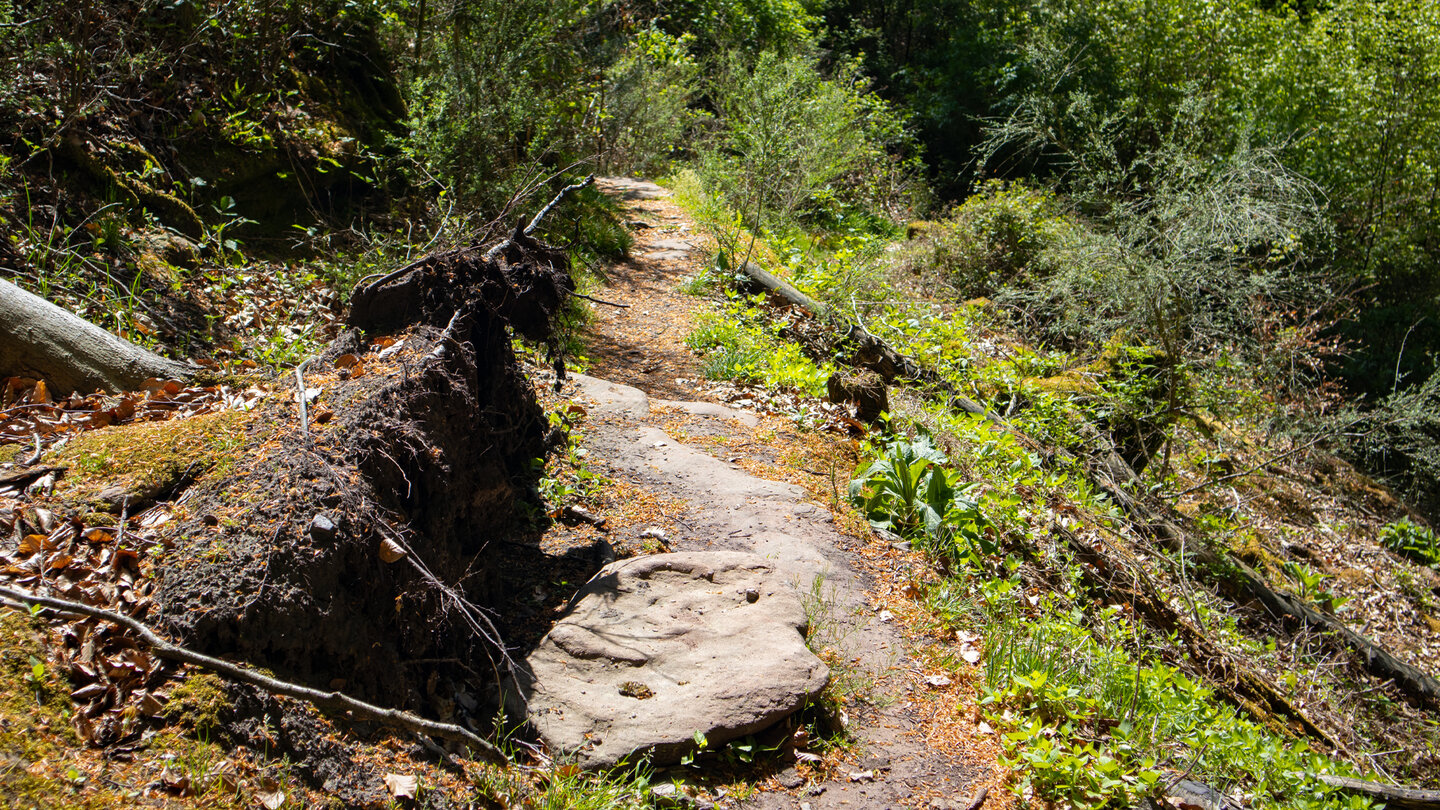Wanderweg zum Wolfsfelsen