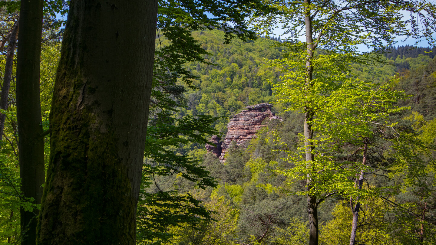 ein Blick vom Burghalderweg zu den Stephanstürmen