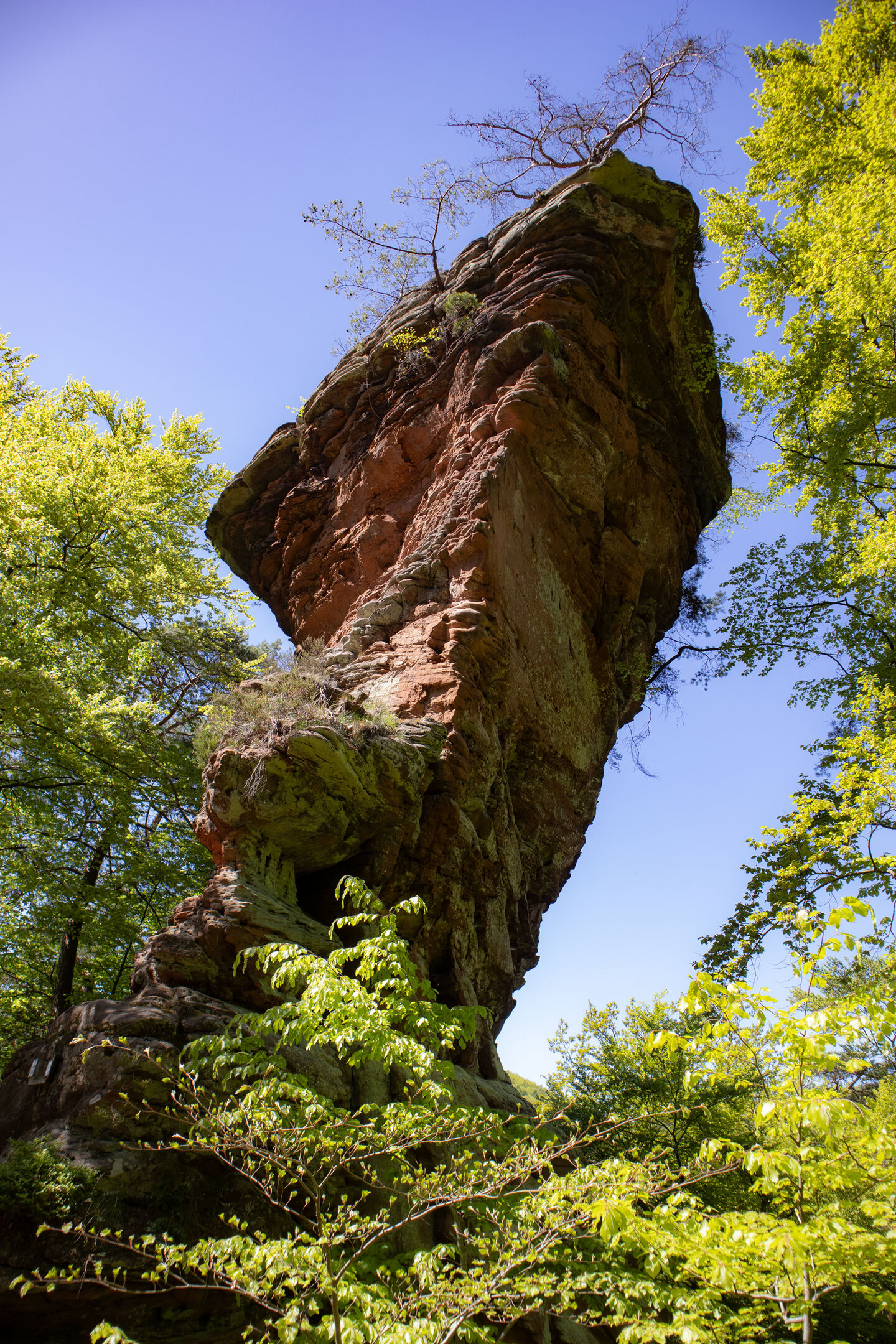 Wolfsfelsen am Burghalderweg im Stephanstal
