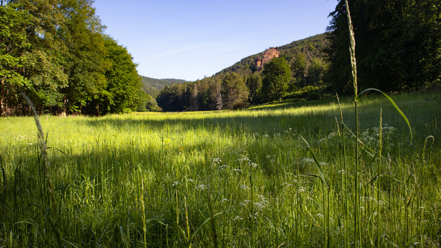 Wiesen im Stephanstal mit den Stephanstürmen