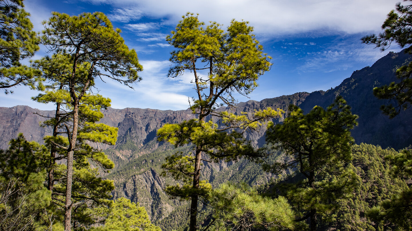 Wanderweg mit Panoramablicken in die Caldera de Taburiente