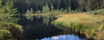 der Buhlbachsee ist einer der Karseen des Nordschwarzwalds