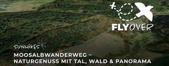 Moosalbwanderweg im Albtal (Schwarzwald) – Flyover