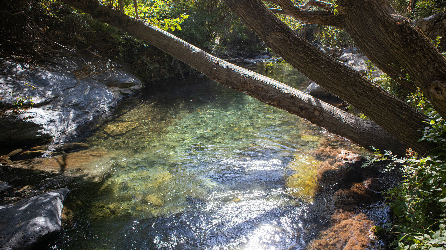 grün schimmerndes Wasser am Río Genil grünes Wasser am Río Genil
