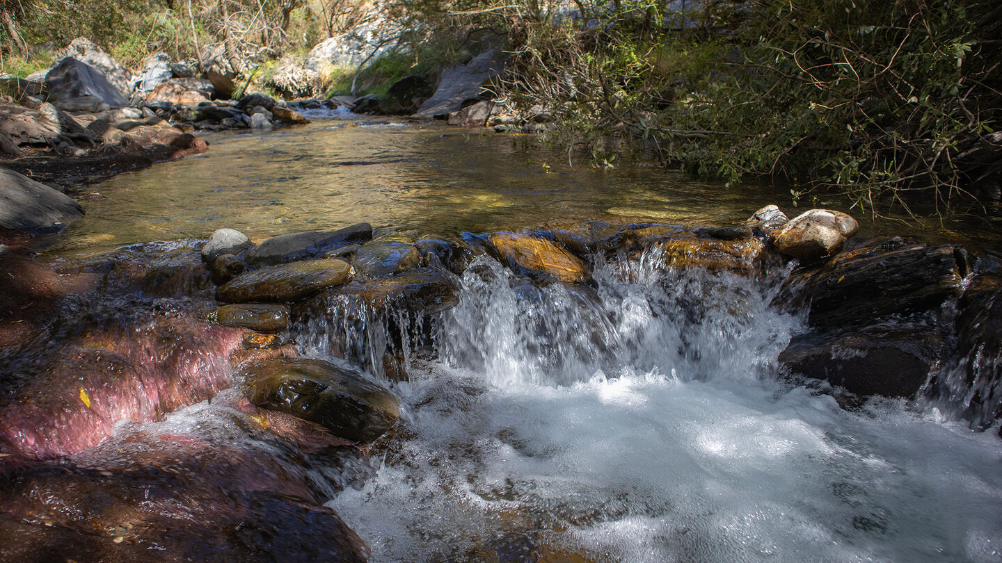 Bachlauf des Río Genil beim Barranco San Juan Río Genil beim Barranco San Juan
