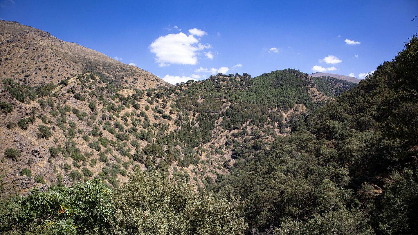 der Sulayr Trail verläuft am gegenüberliegenden Bergrücken der Sulayr Trail am gegenüberliegenden Bergrücken