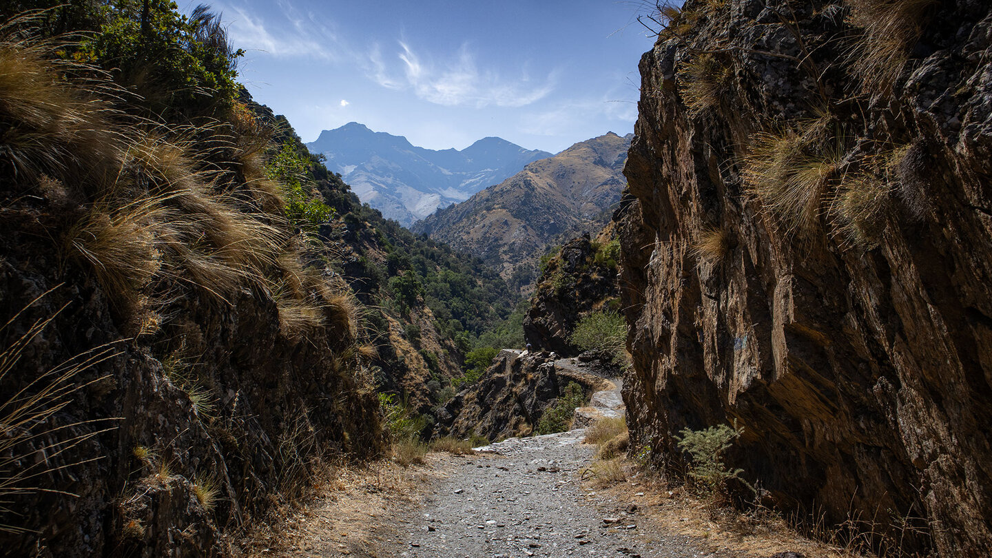 Panarama der Gipfel der Sierra Nevada vom Wanderweg Panarama der Gipfel der Sierra Nevada vom Wanderweg