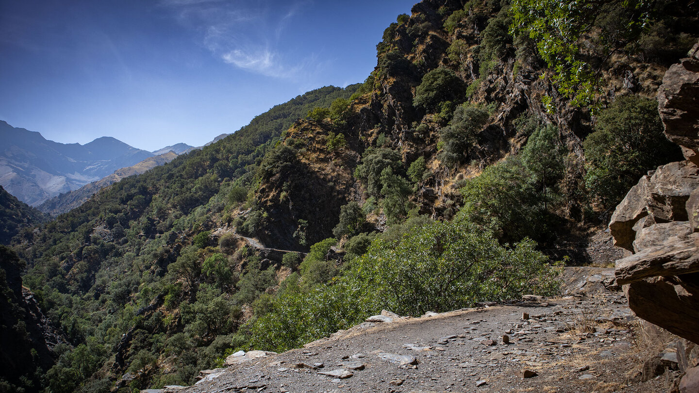 Blick zum Mulhacén von der Vereda de la Estrella Blick zum Mulhacén von der Vereda de la Estrella