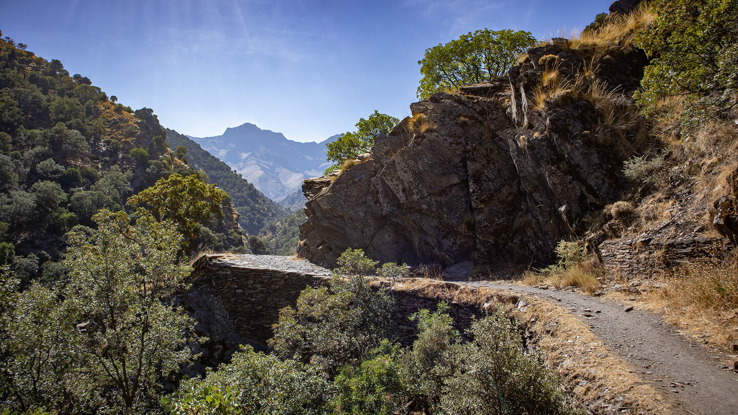 Blick auf den Alcazaba vom Wanderweg Vereda de la Estrella Blick auf den Alcazaba vom Wanderweg Vereda de la Estrella