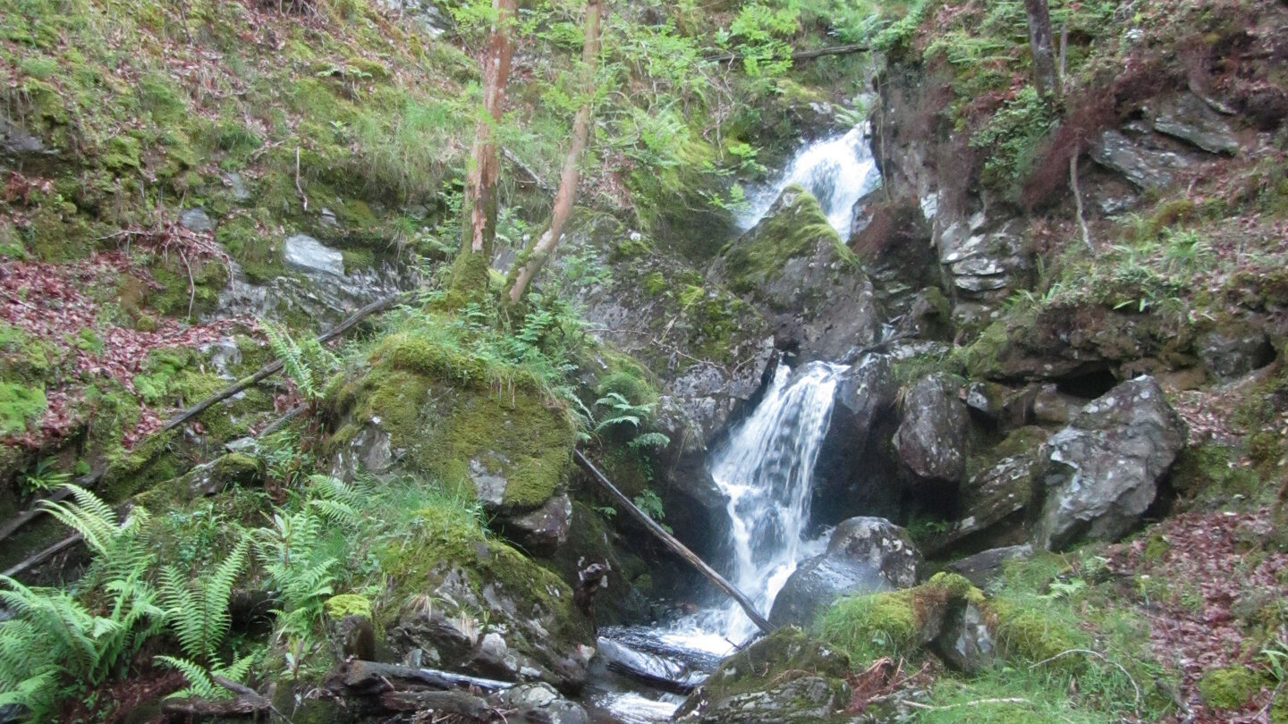 ein kleiner Wildbach am Wanderweg