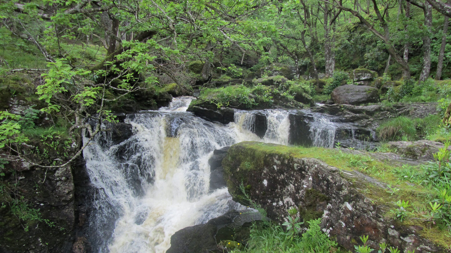 rauschender Bachlauf am Loch Lomond