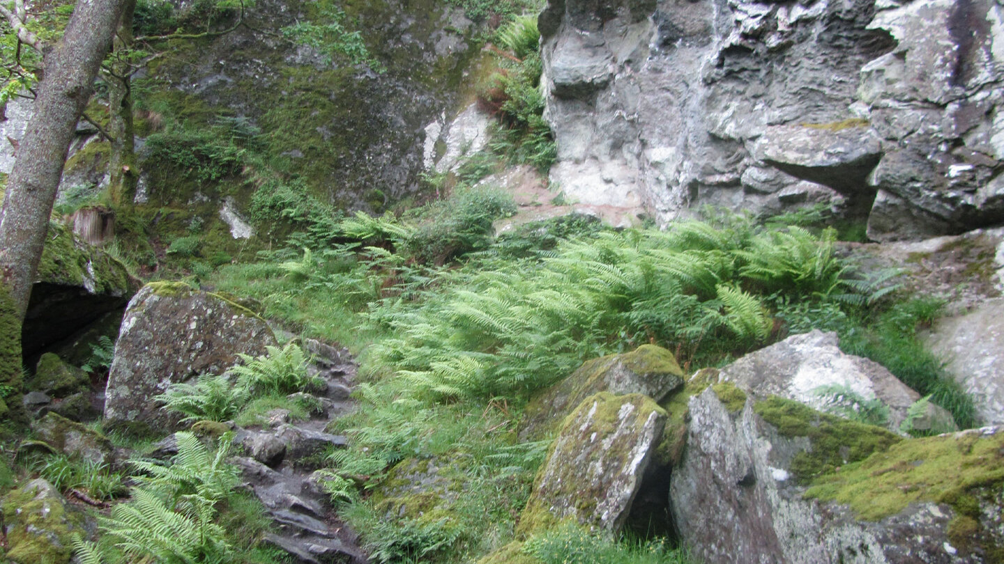 Pfade auf dem West Highland Way
