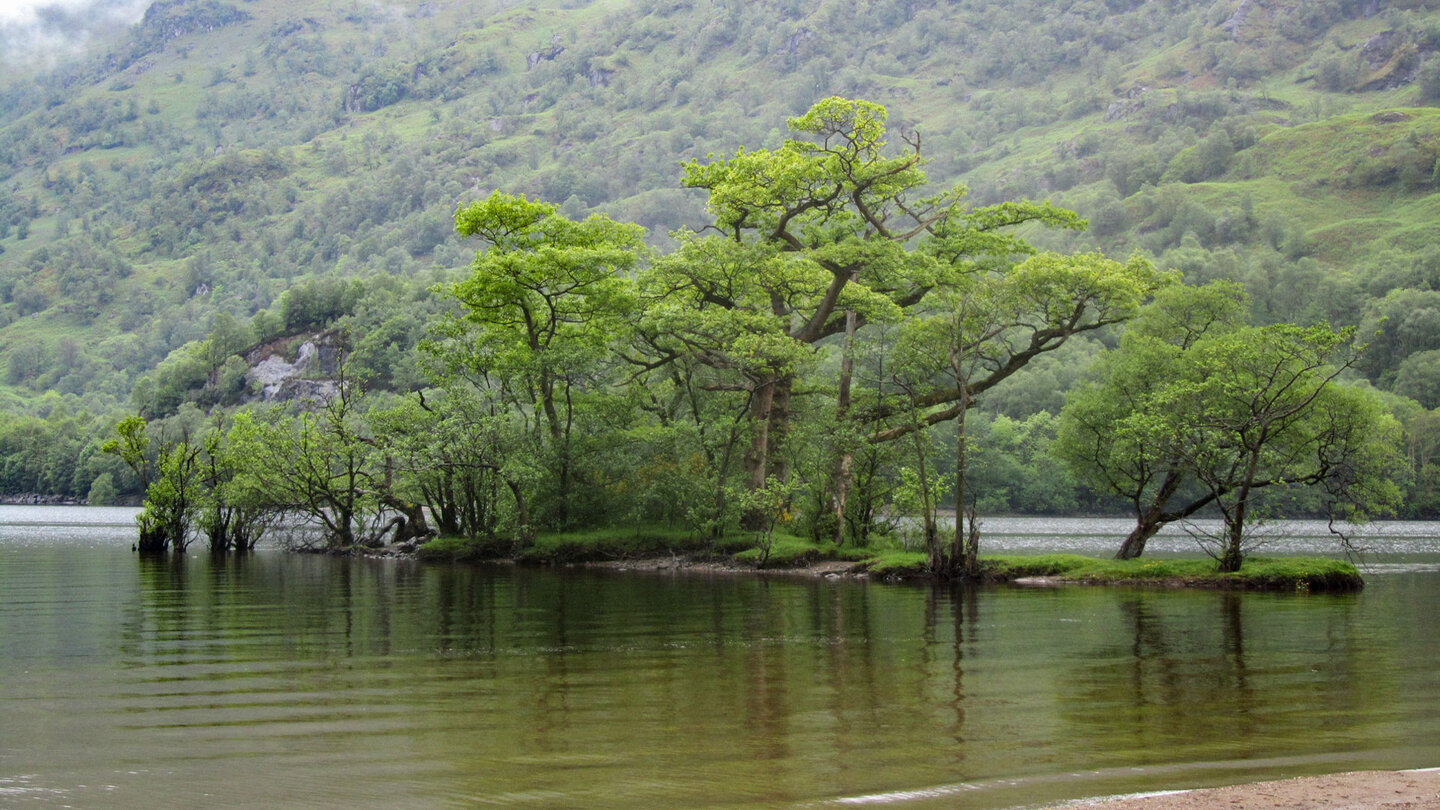 Insel auf dem Loch Lomond