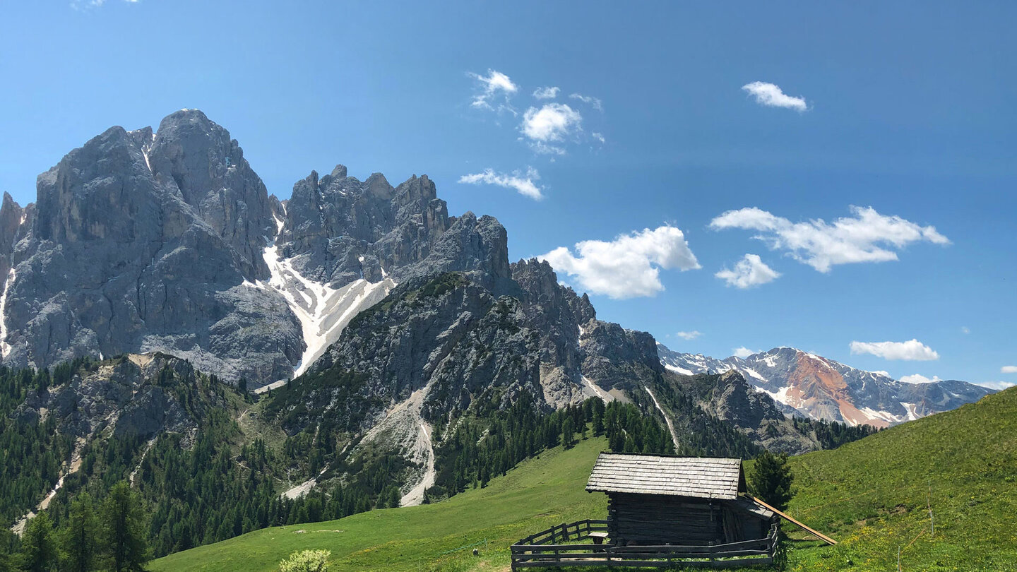 Blick über Almwiesen auf den auf den 2.838 Meter hohen Dürrenstein Almwiesen vor dem 2.838 Meter hohen Dürrenstein