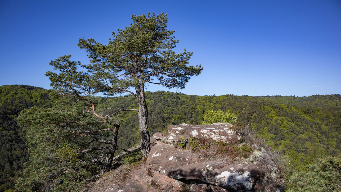 Panorama vom Oberfelsen der Spornburg Backelstein