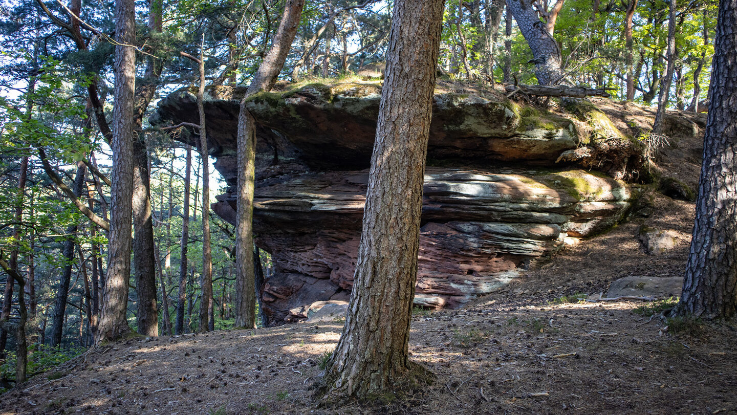Waldfelsen am Wanderweg rund um Hauenstein