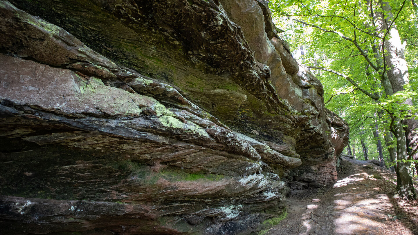 Buntsandsteinriff am Hauensteiner Schusterweg