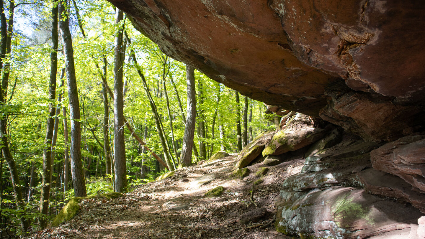 Buntsandsteinfelsen prägen die Wanderwege bei Hauenstein