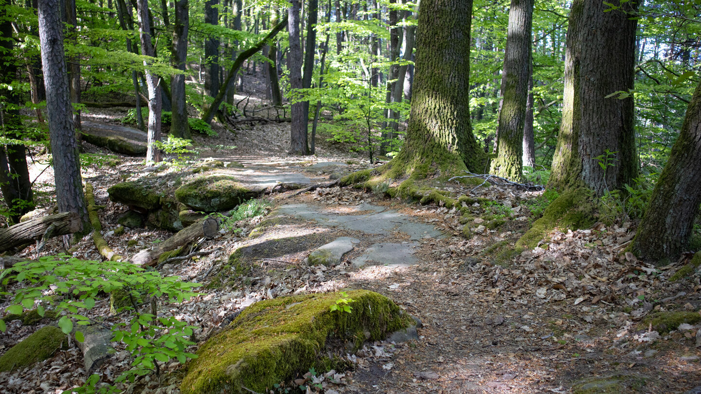 auf dem Hauensteiner Schusterpfad