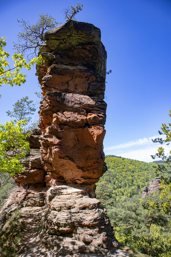 Blick vom Wolfsfelsen zum Stephanturm