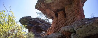 Buntsandsteinformationen des Sattelfelsen am Burghalder-Weg