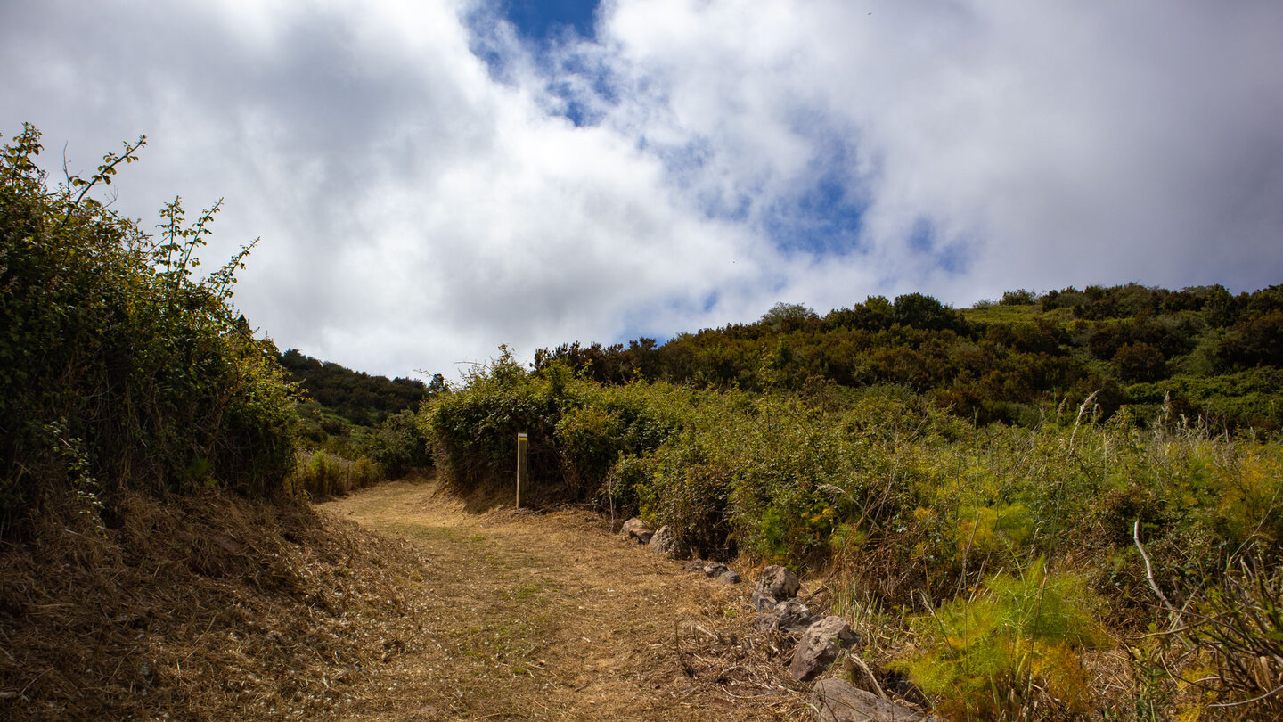 Wanderweg PR-TF 51 zum Ecomuseo de El Tanque