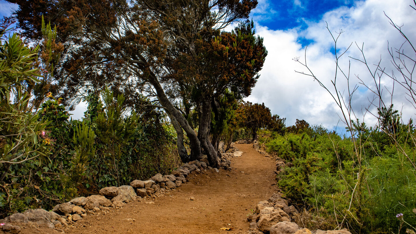 malerischer Wanderweg SL-151 oberhalb der kleinen Schlucht Barranco la Horca