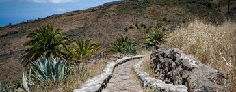 Kopfsteinpflasterweg zum Barranco de Tajonaje bei Alajeró hinab zum Drago de Agalán.