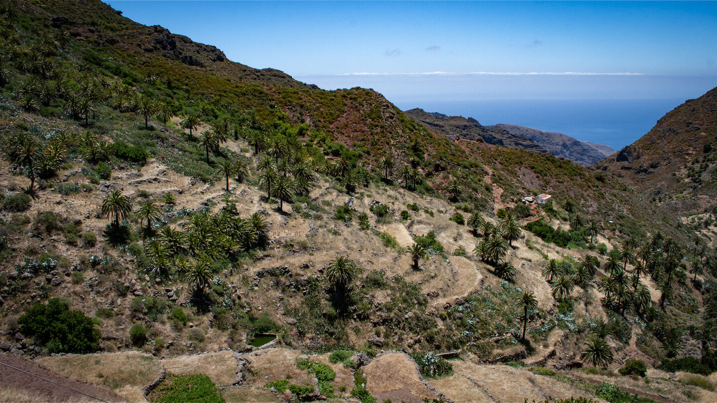 Palmenbewachsene Terrassen fallen im Süden La Gomeras sanft zum Atlantik hin ab.