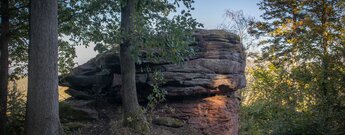 Markanter Sandsteinblock des Schniddelfels bei Erlenbach bei Dahn mit überhängenden Schichten und alten Eichen im Vordergrund, Pfälzerwald
