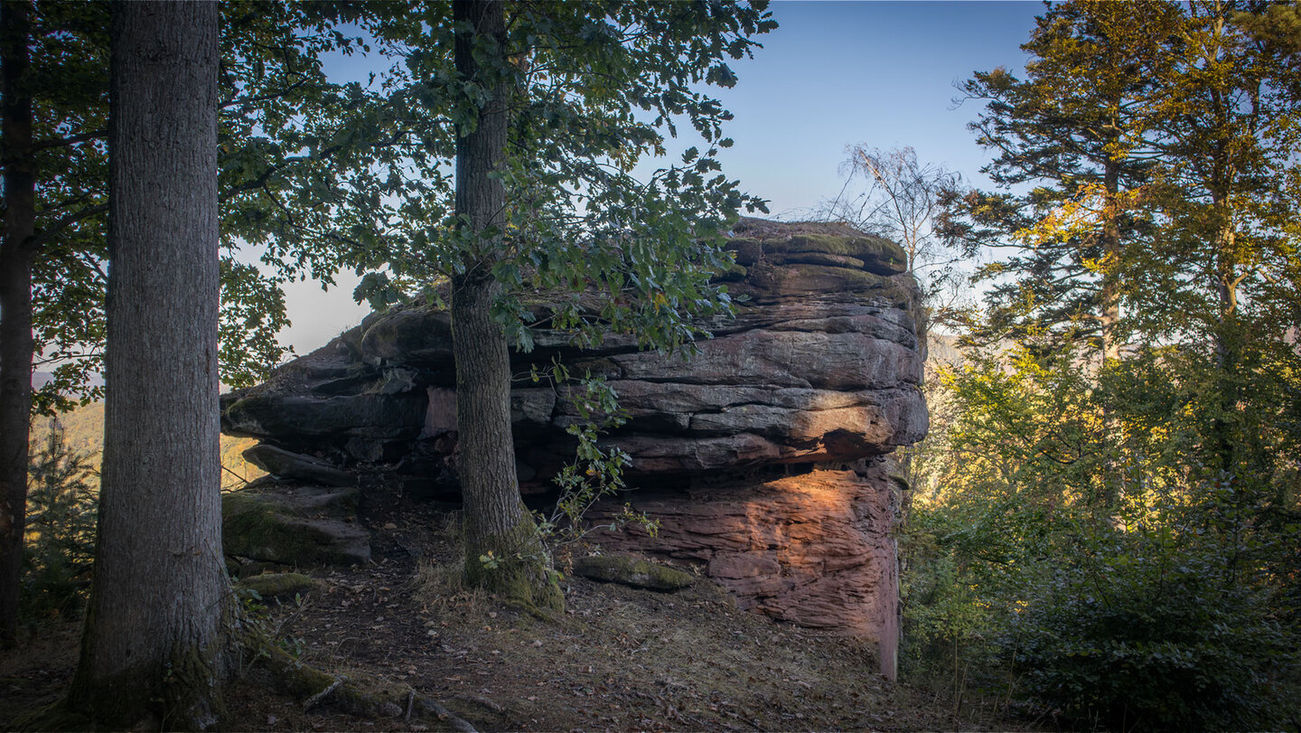 Markanter Sandsteinblock des Schniddelfels bei Erlenbach bei Dahn mit überhängenden Schichten und alten Eichen im Vordergrund, Pfälzerwald