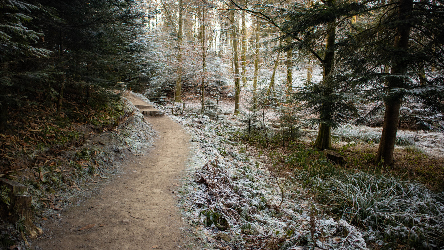 Kahler-Bach-Pfad am Genießerpfad Durbacher Weitblick