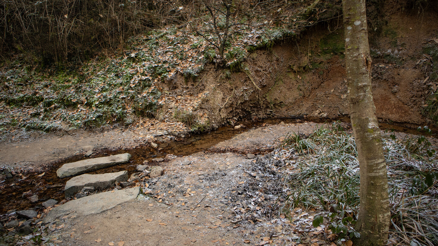 Trittsteine am Kahlen Bach