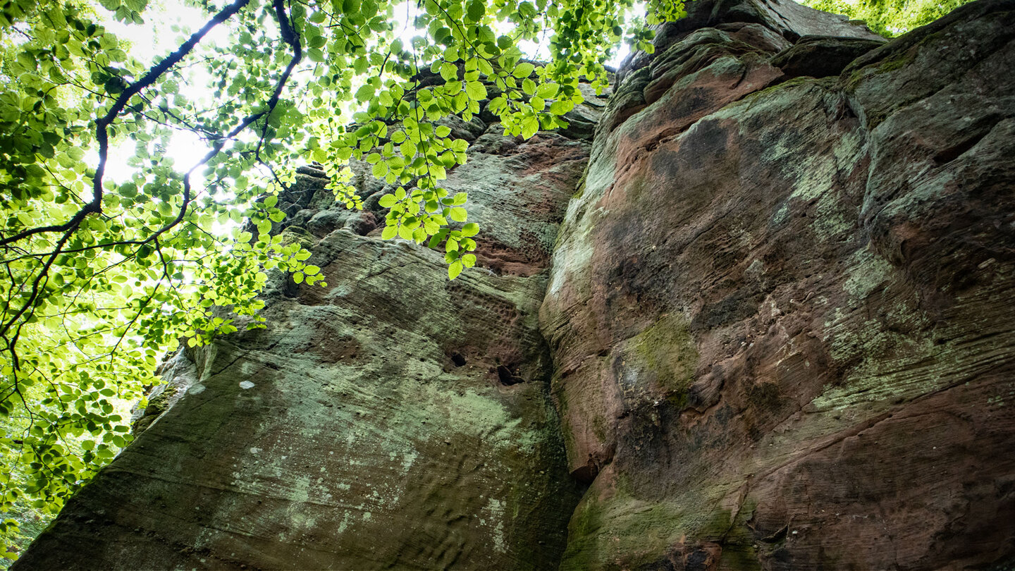 Sandsteinfels an den Fladensteinen im Pfälzerwald