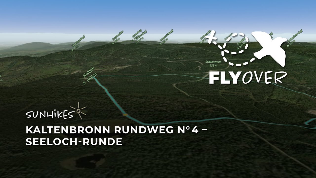 Kaltenbronn Rundweg N° 4: Seeloch-Runde im Schwarzwald – Flyover