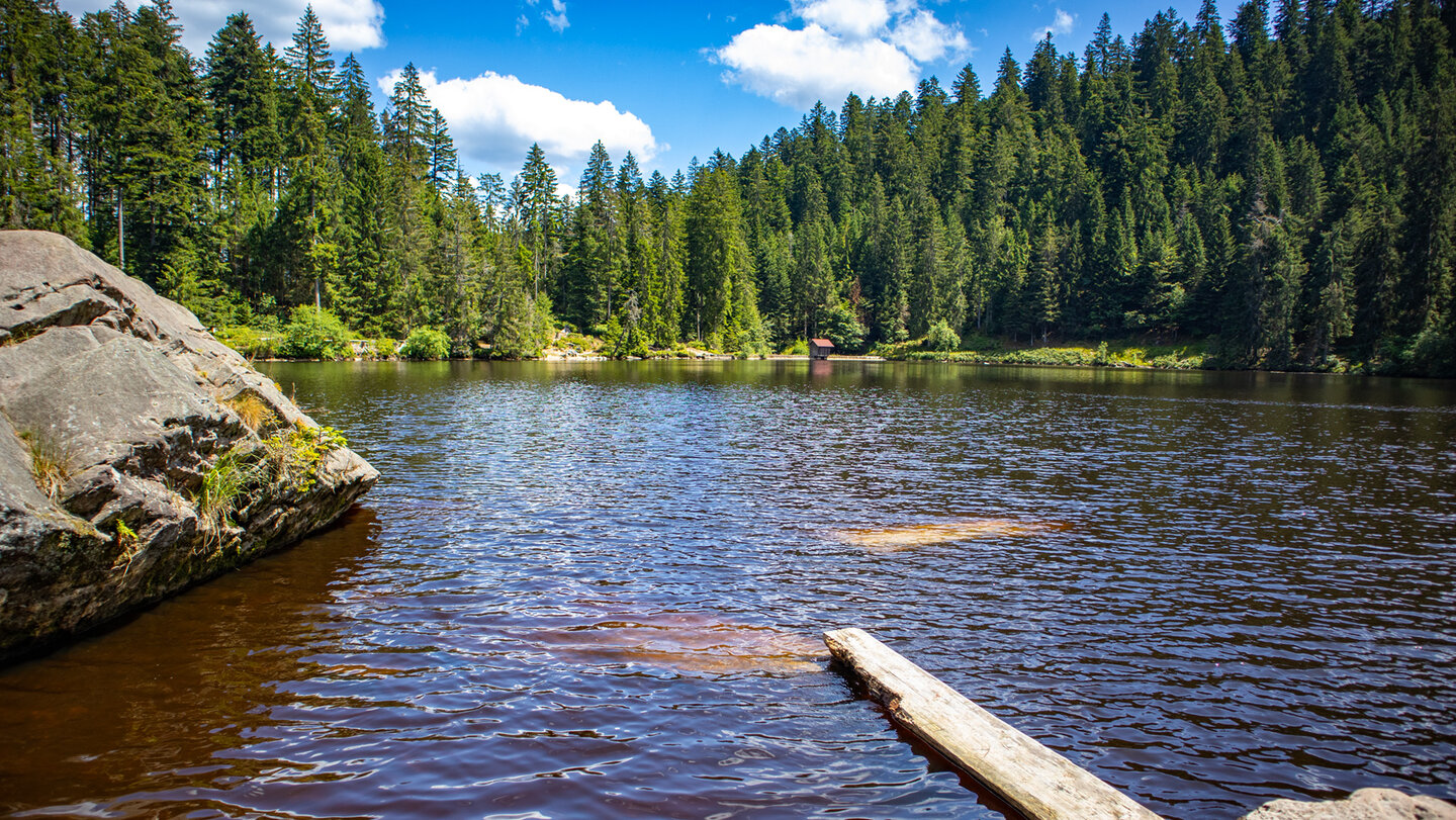 Glaswaldsee bei Bad Peterstal umgeben von dichtem Tannenwald