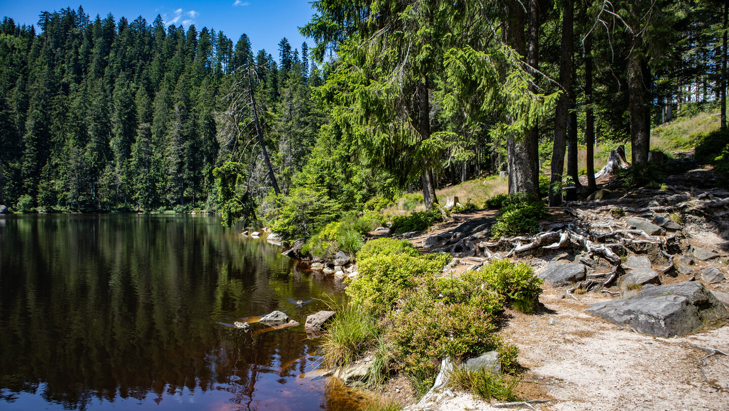 der Glaswaldsee ist einer der letzten Karseen im Schwarzwald