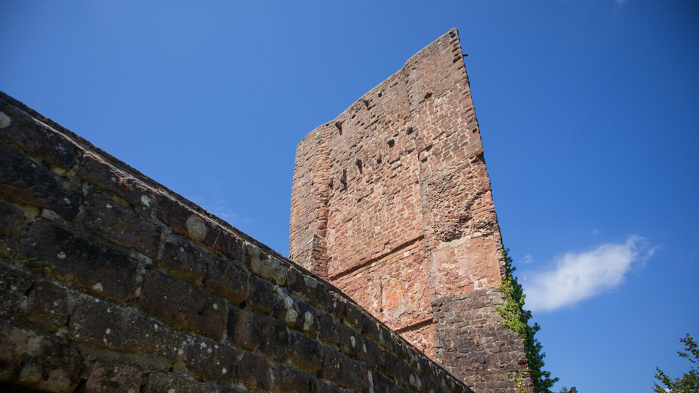 die imposante Schildmauer der Burgruine Ramburg im Pfälzerwald die Schildmauer der Burgruine Ramburg