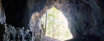 Großes Felsportal der Karsthöhle Sperbersloch mit Durchblick auf Waldlandschaft und Tageslicht.