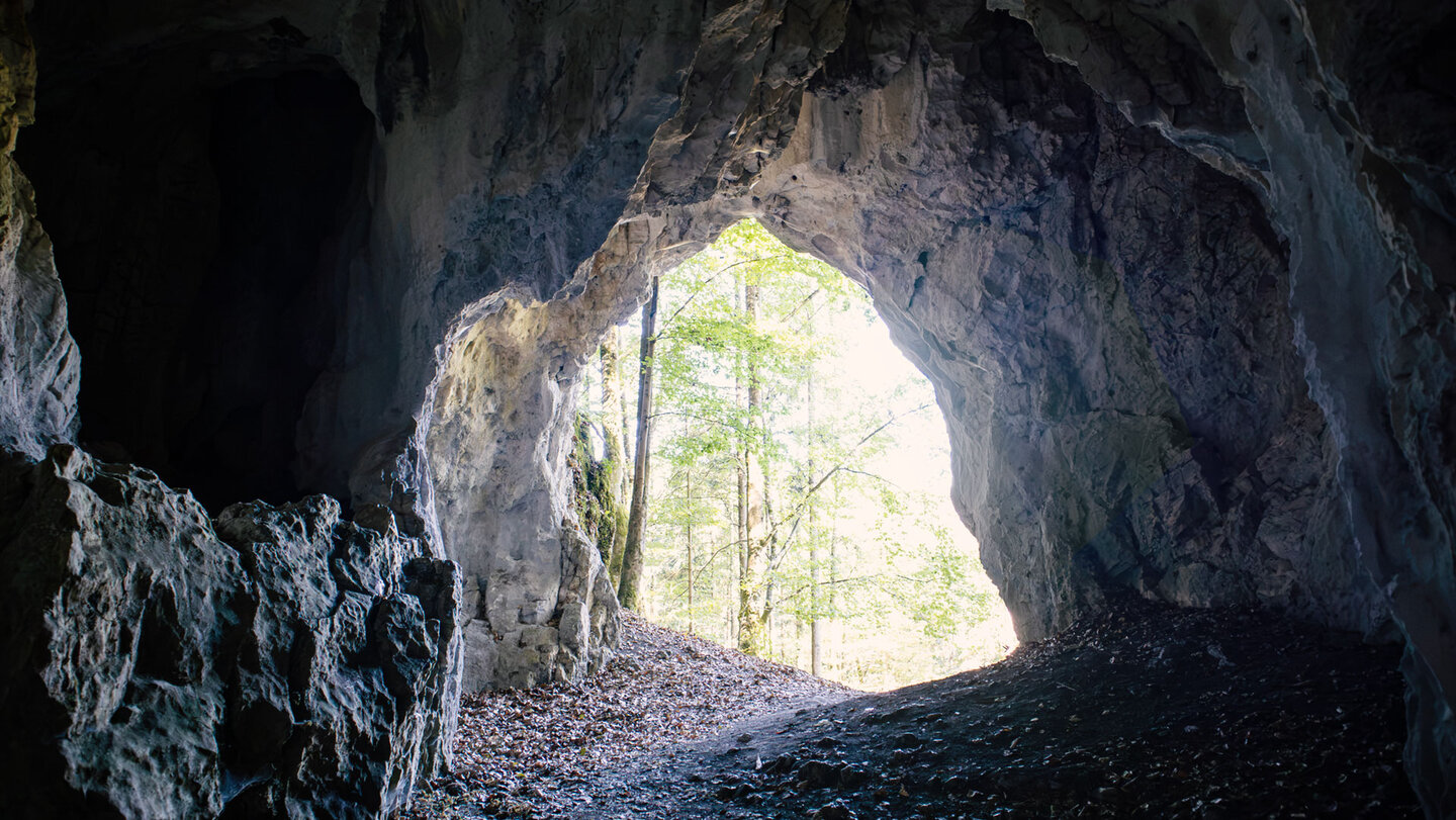 Großes Felsportal der Karsthöhle Sperbersloch mit Durchblick auf Waldlandschaft und Tageslicht.