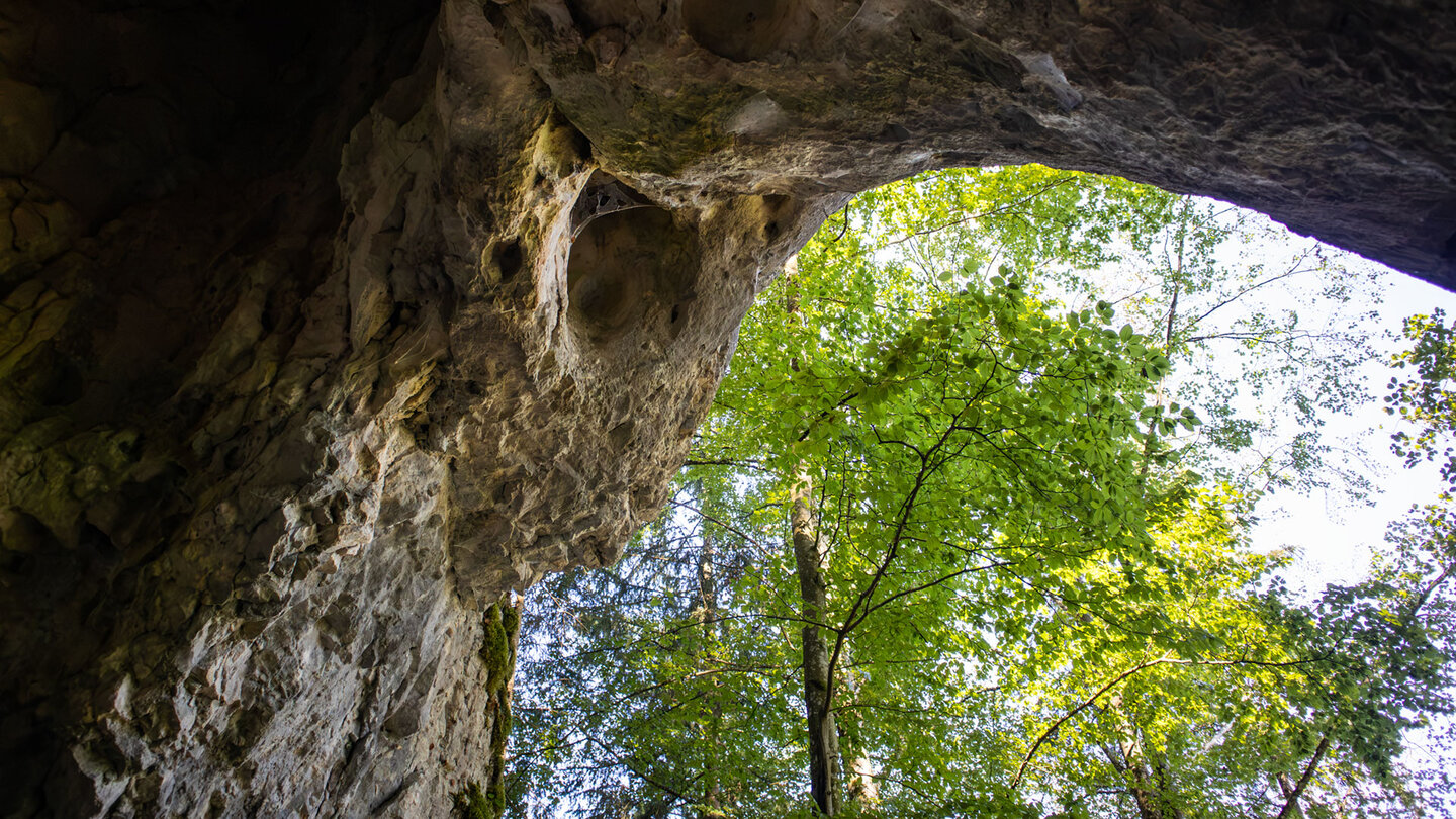 Blick von unten durch das Felsportal der Sperbersloch-Höhle zu den Baumkronen im Oberen Donautal.