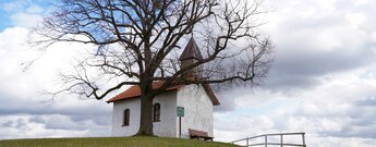 Blick zur Linsbergkapelle
