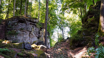 die mächtigen Felsen der Teufelsschlucht