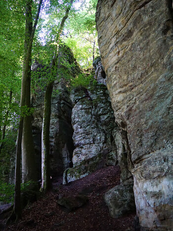 Weg entlang der Felsen in der Teufelsschlucht in der Eifel